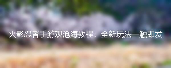 火影忍者手游观沧海教程：全新玩法一触即发