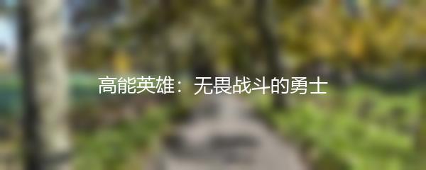 高能英雄：无畏战斗的勇士