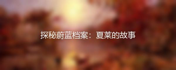 探秘蔚蓝档案：夏莱的故事