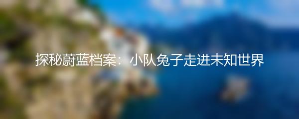 探秘蔚蓝档案：小队兔子走进未知世界