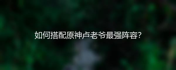 如何搭配原神卢老爷最强阵容？