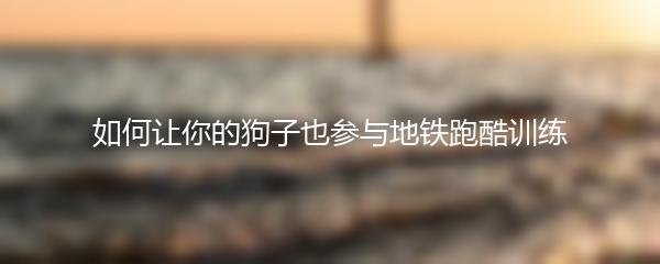 如何让你的狗子也参与地铁跑酷训练