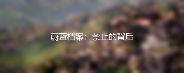 蔚蓝档案：禁止的背后