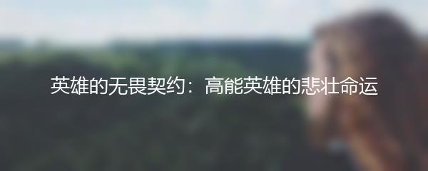 英雄的无畏契约：高能英雄的悲壮命运