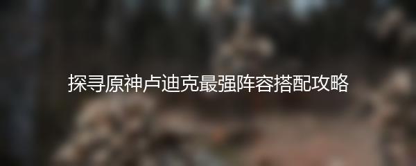 探寻原神卢迪克最强阵容搭配攻略