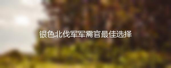 银色北伐军军需官最佳选择