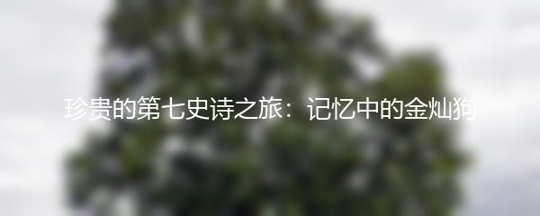 珍贵的第七史诗之旅：记忆中的金灿狗