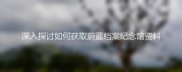 深入探讨如何获取蔚蓝档案纪念馆资料