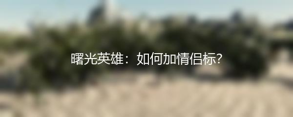 曙光英雄：如何加情侣标？