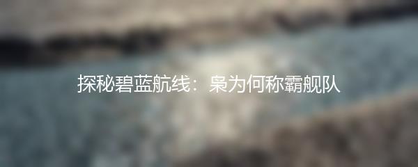 探秘碧蓝航线：枭为何称霸舰队