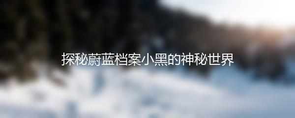 探秘蔚蓝档案小黑的神秘世界