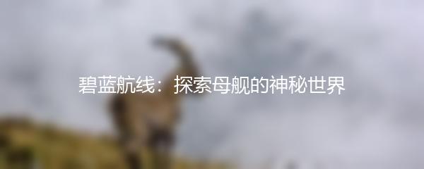 碧蓝航线：探索母舰的神秘世界