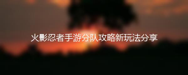 火影忍者手游分队攻略新玩法分享