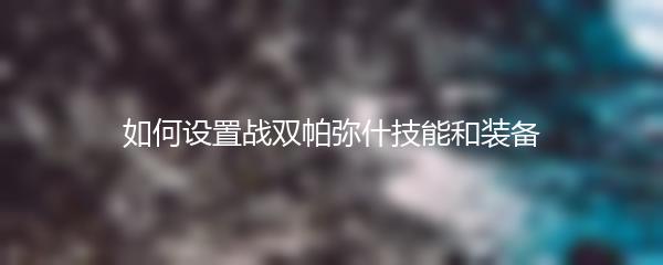 如何设置战双帕弥什技能和装备