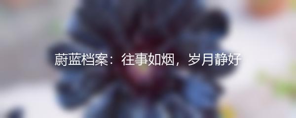 蔚蓝档案：往事如烟，岁月静好