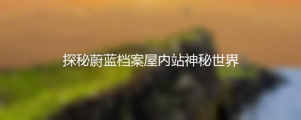 探秘蔚蓝档案屋内站神秘世界