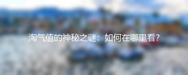 淘气值的神秘之谜：如何在哪里看？