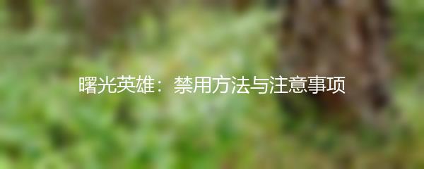 曙光英雄：禁用方法与注意事项
