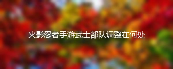 火影忍者手游武士部队调整在何处