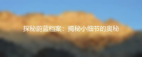 探秘蔚蓝档案：揭秘小细节的奥秘