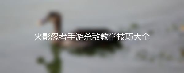 火影忍者手游杀敌教学技巧大全