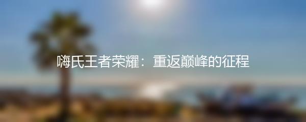 嗨氏王者荣耀：重返巅峰的征程