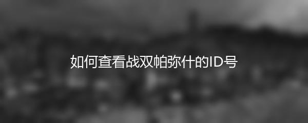 如何查看战双帕弥什的ID号