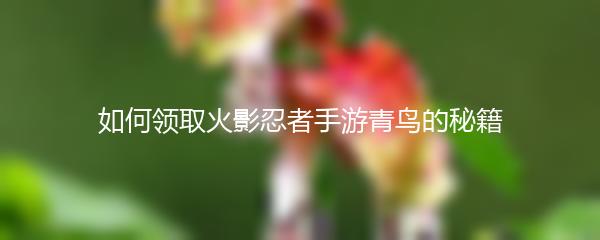 如何领取火影忍者手游青鸟的秘籍