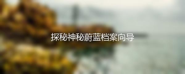 探秘神秘蔚蓝档案向导