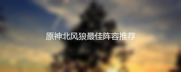 原神北风狼最佳阵容推荐