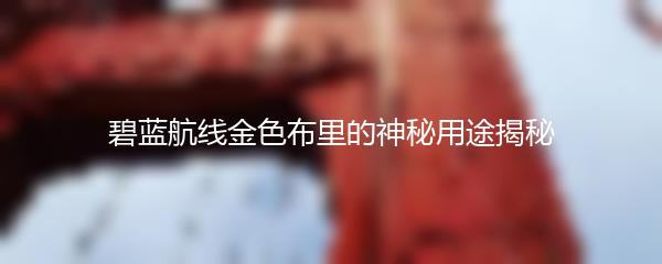 碧蓝航线金色布里的神秘用途揭秘
