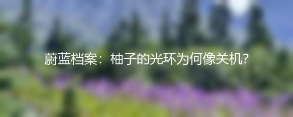 蔚蓝档案：柚子的光环为何像关机？