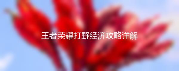 王者荣耀打野经济攻略详解