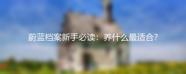 蔚蓝档案新手必读：养什么最适合？