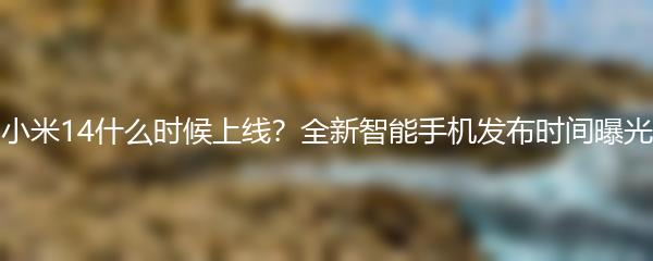 小米14什么时候上线？全新智能手机发布时间曝光