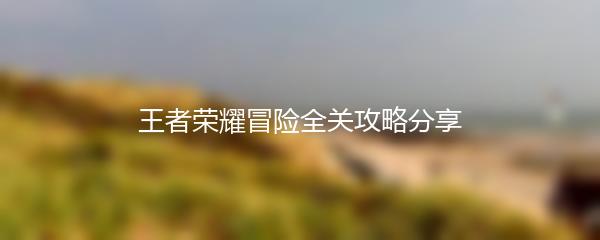 王者荣耀冒险全关攻略分享