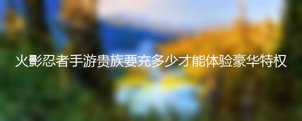 火影忍者手游贵族要充多少才能体验豪华特权