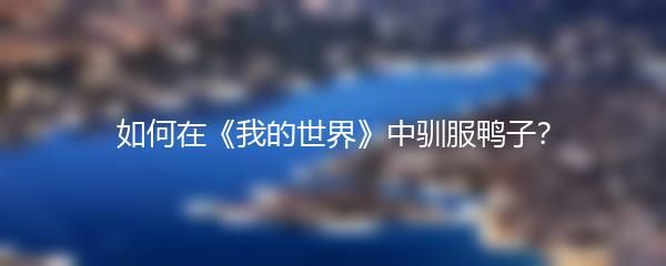 如何在《我的世界》中驯服鸭子？