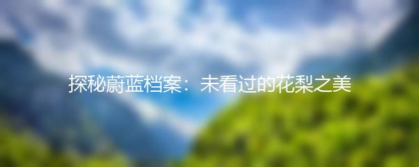 探秘蔚蓝档案：未看过的花梨之美