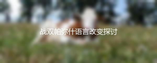 战双帕弥什语言改变探讨
