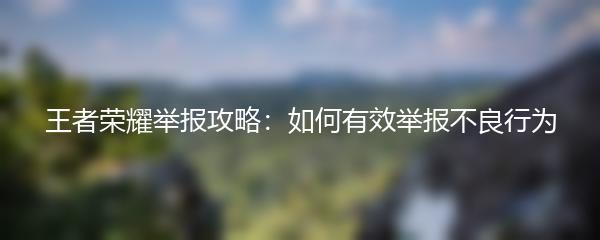 王者荣耀举报攻略：如何有效举报不良行为