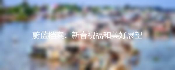 蔚蓝档案：新春祝福和美好展望