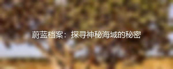 蔚蓝档案：探寻神秘海域的秘密