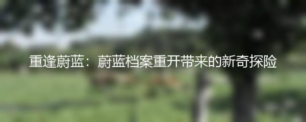 重逢蔚蓝：蔚蓝档案重开带来的新奇探险