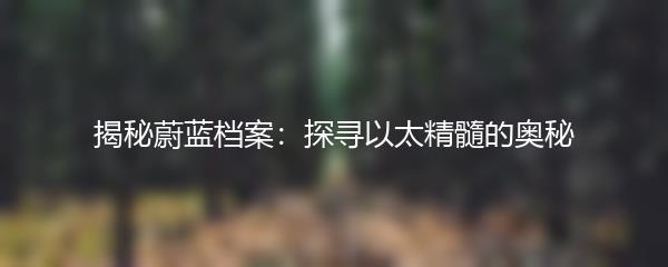 揭秘蔚蓝档案：探寻以太精髓的奥秘