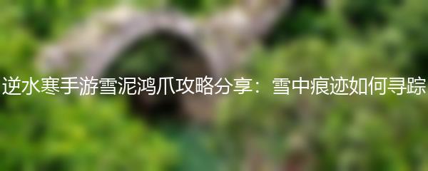 逆水寒手游雪泥鸿爪攻略分享：雪中痕迹如何寻踪