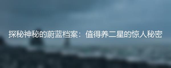 探秘神秘的蔚蓝档案：值得养二星的惊人秘密