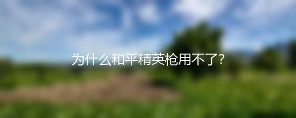 为什么和平精英枪用不了？