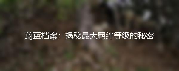 蔚蓝档案：揭秘最大羁绊等级的秘密