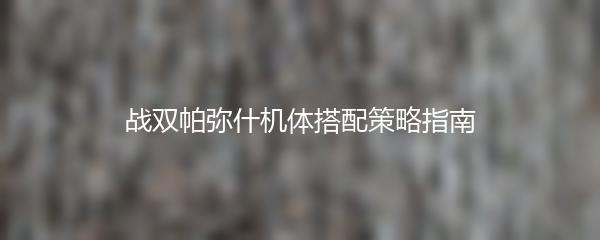 战双帕弥什机体搭配策略指南